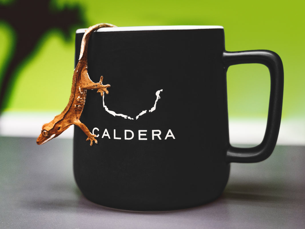 Caldera Logo Ceramic Mug 12oz