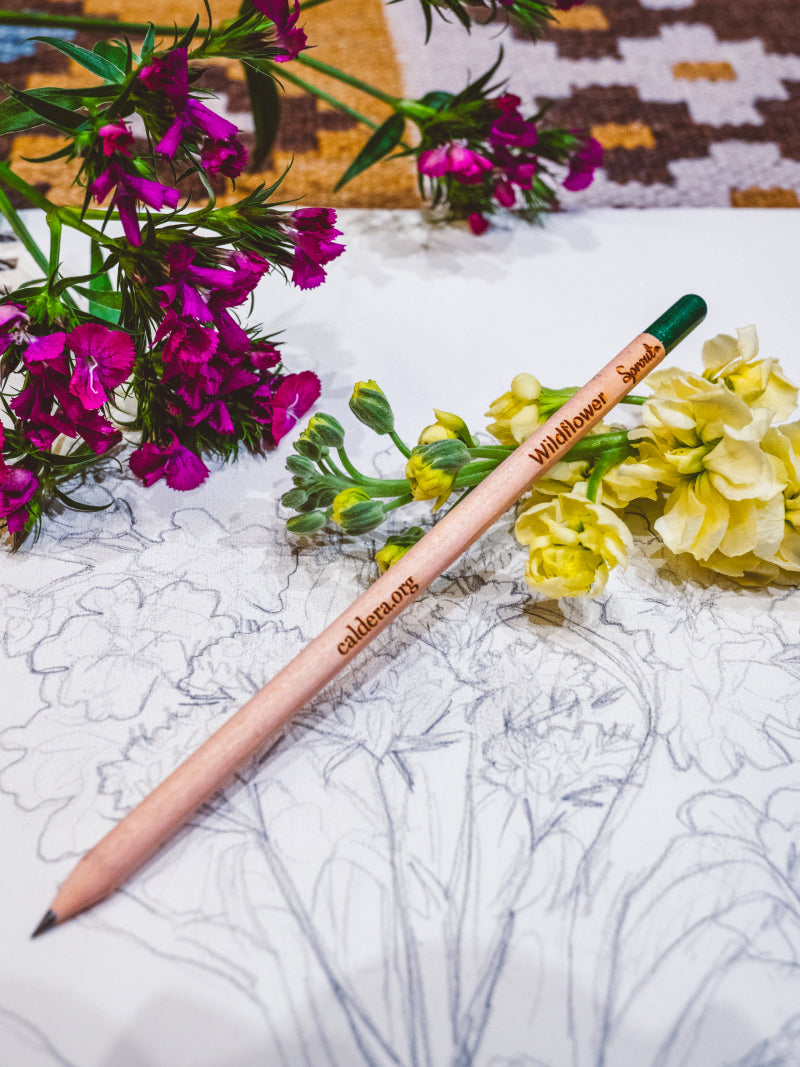 Caldera Sprout Pencil