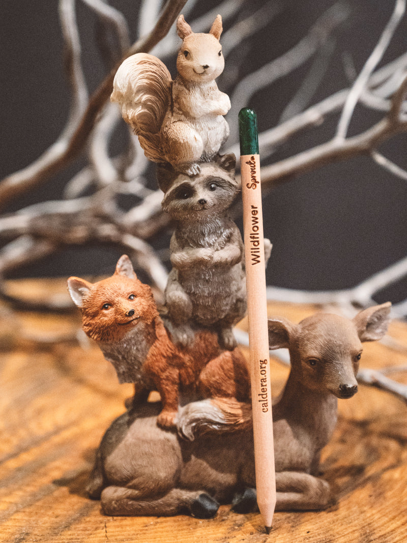 Caldera Sprout Pencil